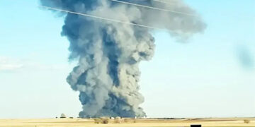 যুক্তরাষ্ট্রে ভয়াবহ আগুনে পুড়ে মরলো ১৮ হাজারের বেশি গরু