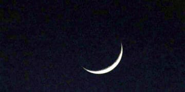 সৌদি আরবে ঈদ শুক্রবার