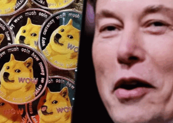 নীল পাখি কি উড়ে গেল?টুইটারের