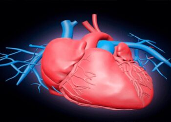 হৃদয়ের  আকার বদলে যায়  কষ্ট পেলে 