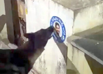 মুখ্যমন্ত্রীর পোস্টার ছিঁড়ে ফেলায় কুকুরের বিরুদ্ধে থানায় অভিযোগ