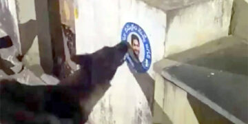 মুখ্যমন্ত্রীর পোস্টার ছিঁড়ে ফেলায় কুকুরের বিরুদ্ধে থানায় অভিযোগ