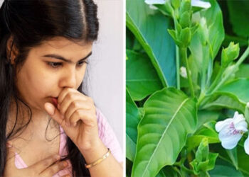 ওষুধ ছাড়াই কাশি সারানোর উপায়