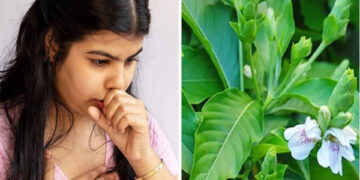 ওষুধ ছাড়াই কাশি সারানোর উপায়