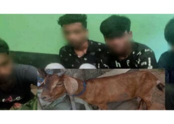 নেশার টাকা জোগাতে ছাগল চুরি, বিক্রি করতে গিয়ে গণধোলাইয়ের শিকার