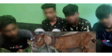 নেশার টাকা জোগাতে ছাগল চুরি, বিক্রি করতে গিয়ে গণধোলাইয়ের শিকার