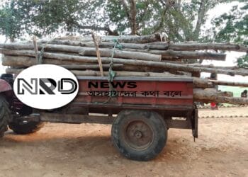 রাজনগর ব্যাটালিয়নের অভিযানে সেগুন কাঠ ও একটি ট্রলি জব্দ