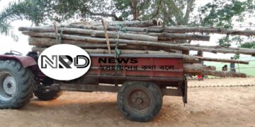 রাজনগর ব্যাটালিয়নের অভিযানে সেগুন কাঠ ও একটি ট্রলি জব্দ