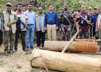 চুনারুঘাটে ৩ লক্ষাধিক টাকার চোরাই গাছ উদ্ধার