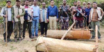 চুনারুঘাটে ৩ লক্ষাধিক টাকার চোরাই গাছ উদ্ধার