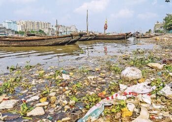দেশের প্রাকৃতিক সৌন্দর্যের বিপর্যয়ের কারণ আমরা নিজেরাই
