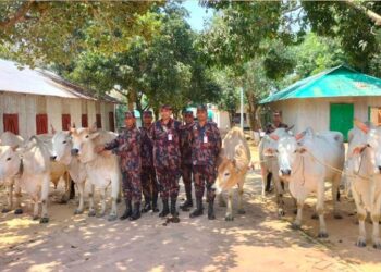 লংগদুতে অবৈধ পথে আসা ২৪ লক্ষ টাকার ভারতীয় গরু উদ্ধার