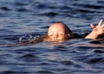 পাবনায় পুকুরে ডুবে দুই ভাইয়ের মৃত্যু 