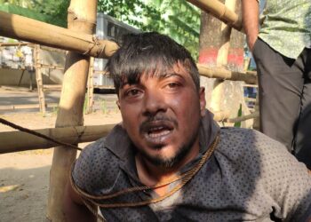 জবি ক্যাম্পাস থেকে চুরি হওয়া সাইকেল উদ্ধার, আটক চোর