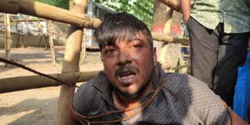 জবি ক্যাম্পাস থেকে চুরি হওয়া সাইকেল উদ্ধার, আটক চোর