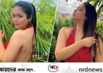 প্লেনটি খুব কাঁপছিল,ভয়ে চুপচাপ ছিলাম: ভাবনা