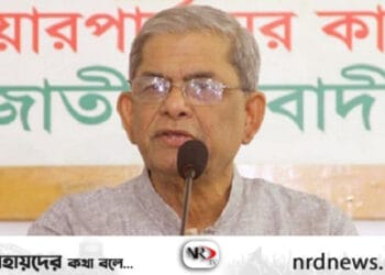 দেশের জন্য ক্ষতিকর হবে রাষ্ট্রদূতদের প্রটোকল তুলে নেওয়া হলে: মির্জা ফখরুল