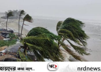 সেন্ট মার্টিনে মোখার তাণ্ডব:তিন শতাধিক ঘর বিধ্বস্ত,আহত ১১