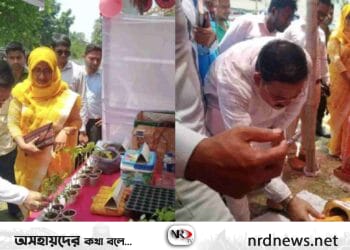 নড়াইলে লাগসই প্রযুক্তির প্রয়োগ সম্প্রসারণ শীর্ষক প্রদর্শনী