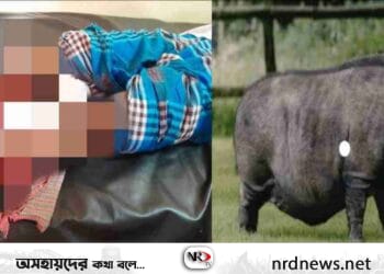 লংগদুতে বন্য শুকরের আক্রমণে আহত তিন মানব