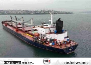 আবারো ২ মাস বেড়েছে রাশিয়া-ইউক্রেন শস্য চুক্তির মেয়াদ