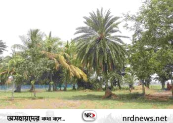 পাইকগাছায় যুদ্ধাহত মুক্তিযোদ্ধা’র জমিতে যেতে বাঁধা