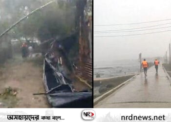 সেন্টমার্টিনে গাছচাপায় ২ জনের মৃত্যু