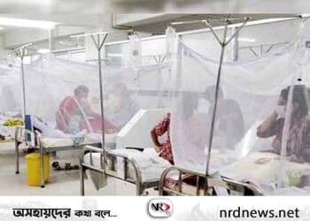 দেশে ২৪ ঘণ্টায় সর্বোচ্চ ডেঙ্গু রোগী শনাক্ত