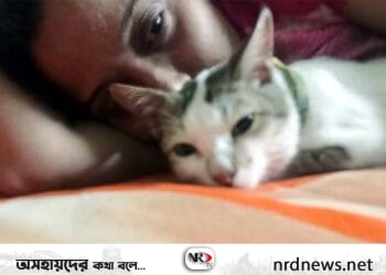 আজ বিড়াল আলিঙ্গন দিবস