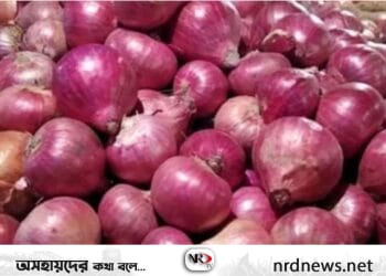 দাম বাড়ছে পেঁয়াজের