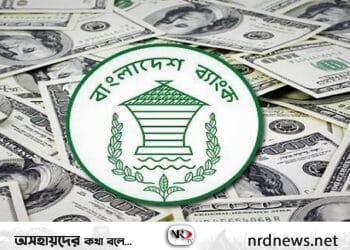 ১২ দিনে মোট ৮ হাজার ৩৫৯ কোটি টাকা রেমিট্যান্স এসেছে 