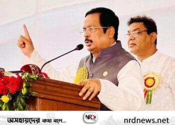 দেশের উন্নয়ন ও শান্তি-শৃঙ্খলা বিএনপির ভালো লাগে না: নানক