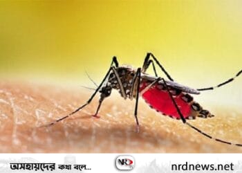 ডেঙ্গু আক্রান্ত বেড়েই চলছে