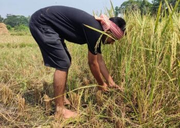 নোয়াখালীতে কৃষকদের পাশে জবি’র অর্পণ সাহা শান্ত