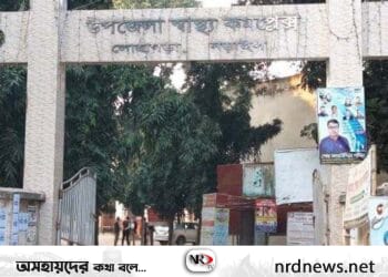 নড়াইলে সড়ক দূর্ঘটনায় স্কুল শিক্ষিকা নিহত আহত ৫