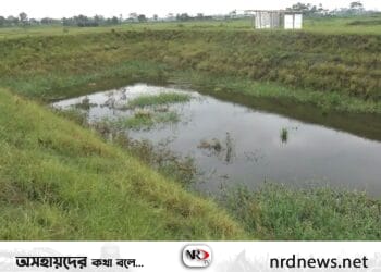 মাটি ভরাটের নামে প্রবাসীর প্রতারণার অভিযোগ: মজুরীর আশায় শ্রমিকরা ঘুরছে দ্বারে দ্বারে