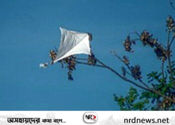 ছেঁড়া সুতোর ঘুড়ি