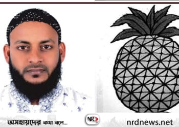 বিশ্বনাথ ইউপিতে আনারস প্রতীক নিয়ে জয়ের প্রত্যাশা দয়াল তালুকদারের