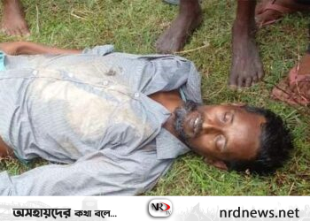 জগন্নাথপুরে লাকড়িবোঝাই টমটম উল্টে মারা গেলেন চালক