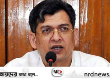 দেশে ফিরতে পারবেন সালাহউদ্দিন