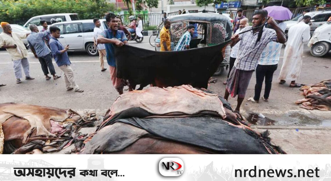 ছবি: ইন্টারনেট থেকে নেওয়া ।