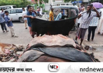 ছবি: ইন্টারনেট থেকে নেওয়া ।