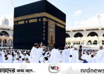 ছবি: ইন্টারনেট থেকে নেওয়া ।