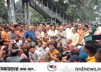 জনগণের শক্তির কাছেই মাথানত করতে হবে প্রধানমন্ত্রীকে: রিজভী