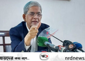 এক সঙ্গে আওয়ামী লীগ ও গণতন্ত্র যায় না: মির্জা ফখরুল