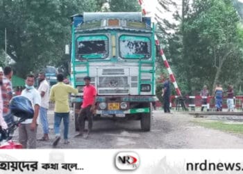 ছবি: ইন্টারনেট থেকে নেওয়া ।