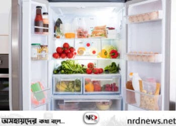 ফ্রিজে যে খাবার রাখা যাবে না