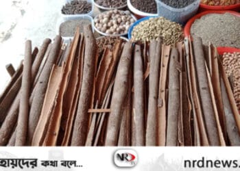 দ্বিগুণ মসলার দাম