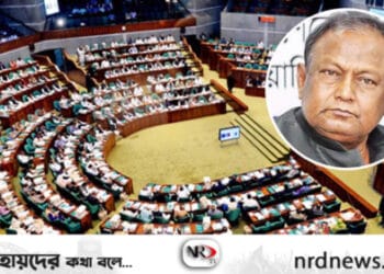 ছবি: ইন্টারনেট থেকে নেওয়া ।