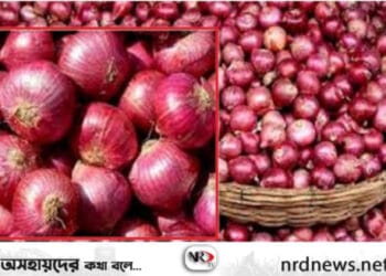 বাজারে পেঁয়াজের সেঞ্চুরি